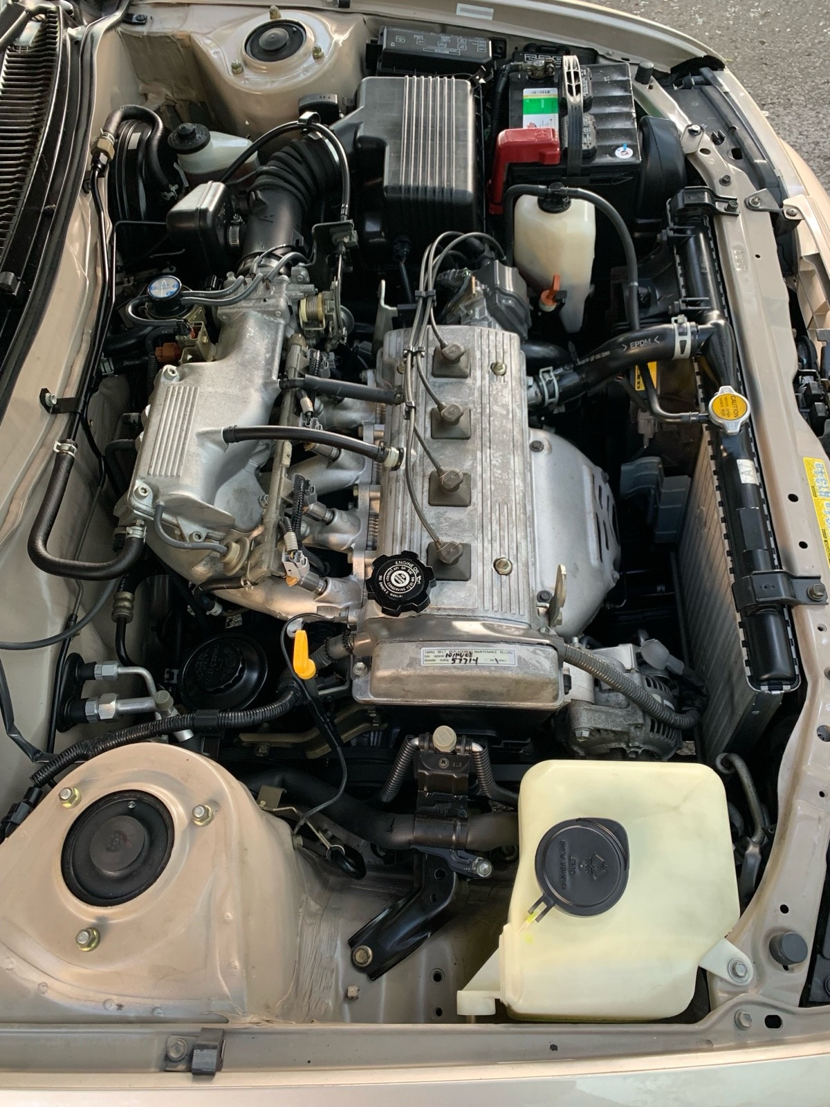 Toyota-Corolla-1996-Sedan-19
