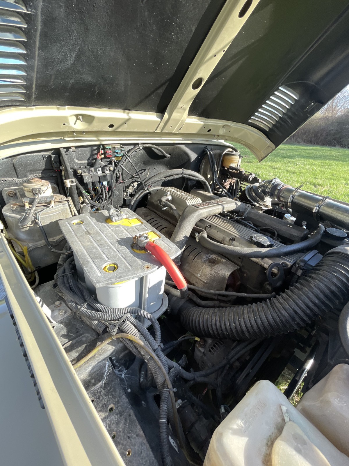 Toyota-Land-Cruiser-1982-Standard-Cab-Pickup-24