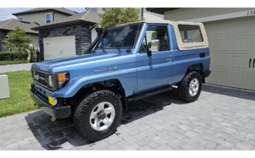Toyota-Land-cruiser-1994-Metalized-Blue-GrayOriginal-Cloth-3