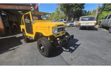 Toyota-Land-cruiser-fj40-1967-Yellow-Black-33