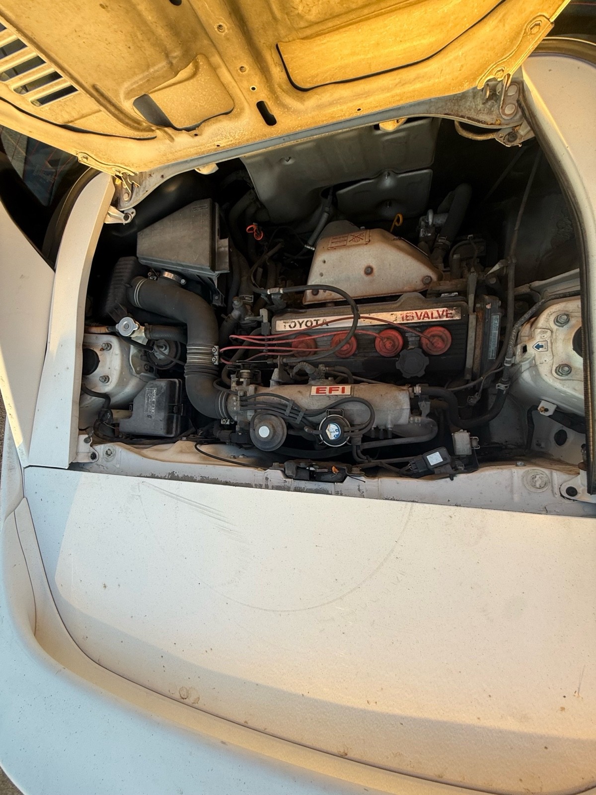 Toyota-MR2-1991-Coupe-6