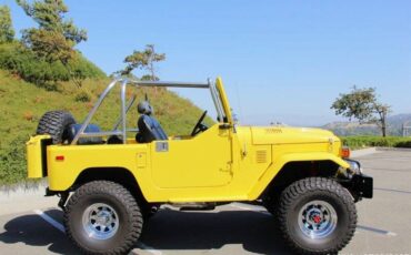 Toyota-fj-40-2-door-open-top-dodge-magnum-hemi-1978-yellow-12