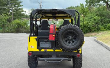 Toyota-land-cruiser-1964-yellow-3