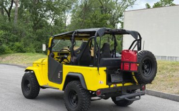 Toyota-land-cruiser-1964-yellow-4