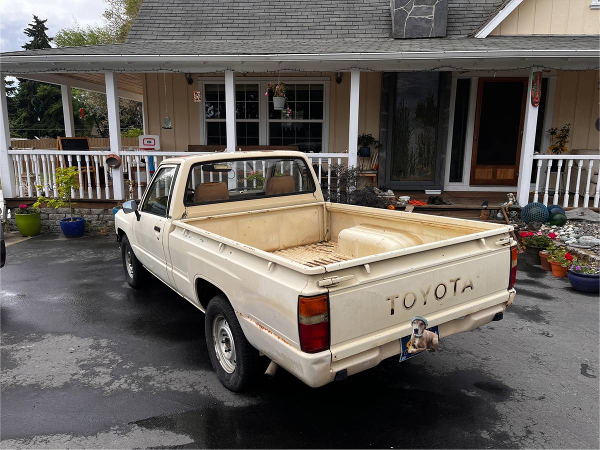 Toyota-pickup-1984-yellow-7