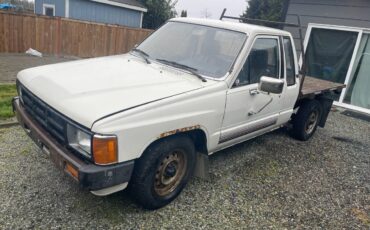 Toyota-pickup-diesel-1984-white-1