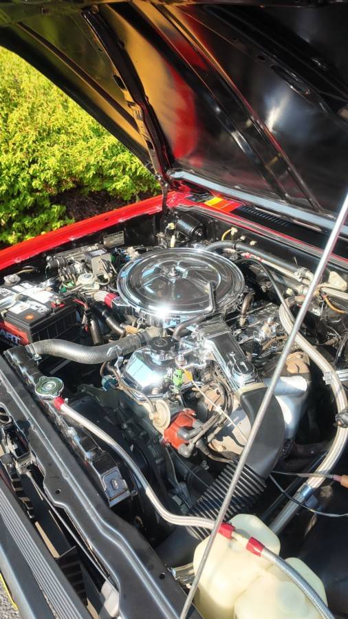 Toyota-pickup-truck-sr-5-trans-1980-11