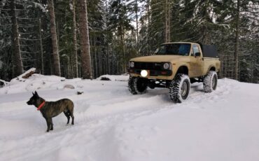 Toyota-tacoma-1981