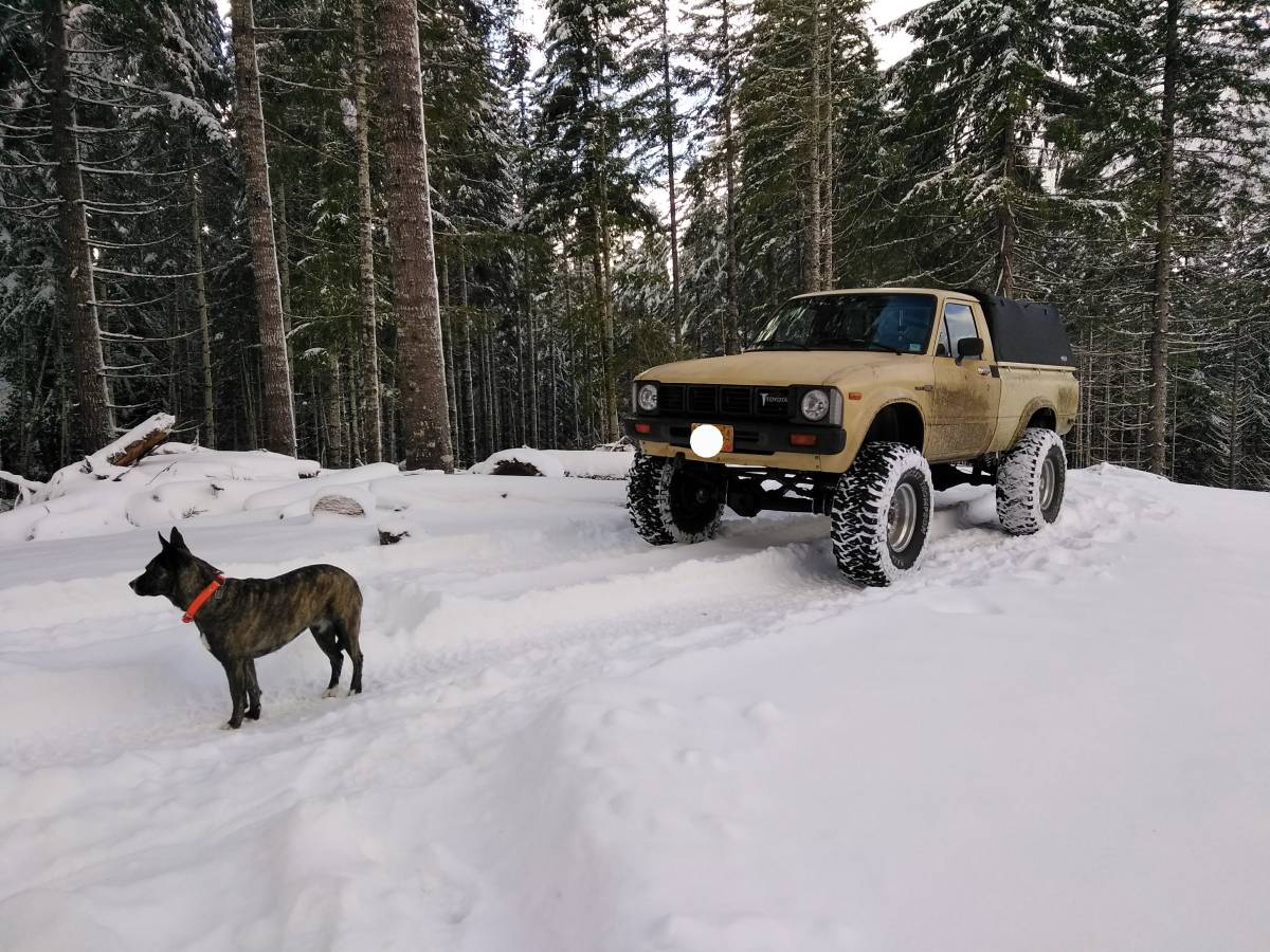 Toyota-tacoma-1981