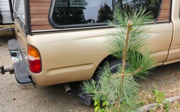 Toyota-tacoma-king-cab-4x4-1995-brown-7