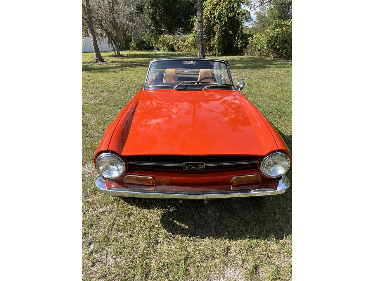 Triumph-Tr6-1972-Pimento-Red-Tan-1