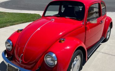 Volkswagen-1100-1969