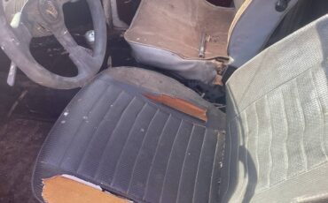 Volkswagen-1973-orange-1