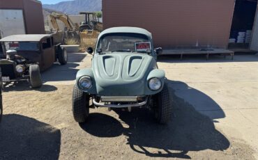 Volkswagen-Baja-bug-1970-Green-Grey-1