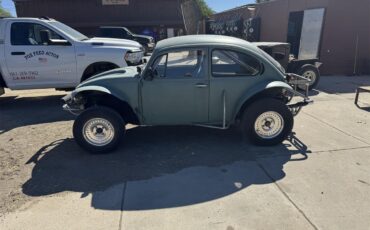 Volkswagen-Baja-bug-1970-Green-Grey