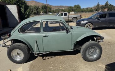 Volkswagen-Baja-bug-1970-Green-Grey-6