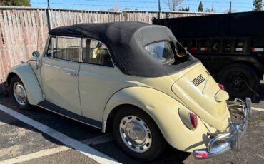 Volkswagen-Beetle-1967-Yellow-6