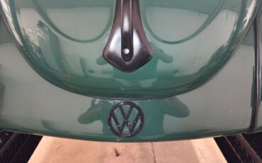 Volkswagen-Beetle-1969-Peru-Green-Black-24