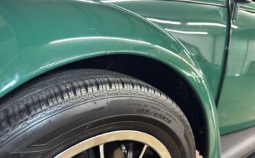 Volkswagen-Beetle-1969-Peru-Green-Black-25