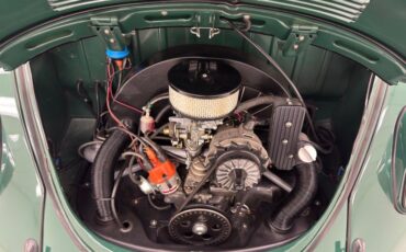 Volkswagen-Beetle-1969-Peru-Green-Black-39