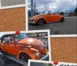 Volkswagen-Beetle-1970-Orange-White-1