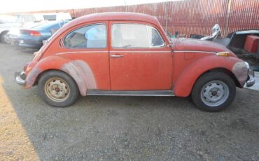 Volkswagen-Beetle-1971-Orange-15