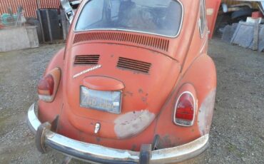 Volkswagen-Beetle-1971-Orange-4
