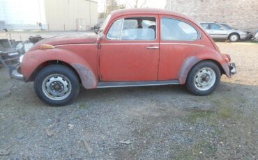 Volkswagen-Beetle-1971-Orange-5