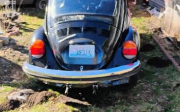 Volkswagen-Beetle-1974-1