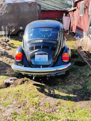 Volkswagen-Beetle-1974-1