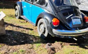 Volkswagen-Beetle-1974-4