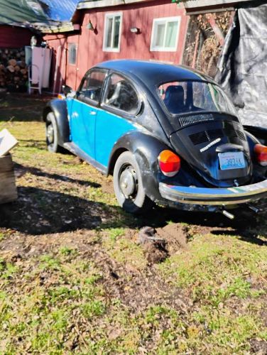 Volkswagen-Beetle-1974-4