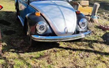 Volkswagen-Beetle-1974-6