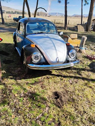 Volkswagen-Beetle-1974-6