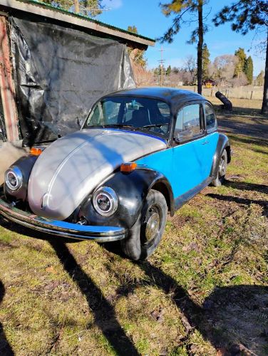 Volkswagen-Beetle-1974