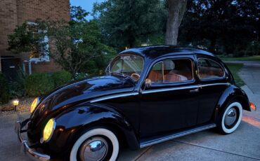 Volkswagen-Beetle-Classic-1952-10