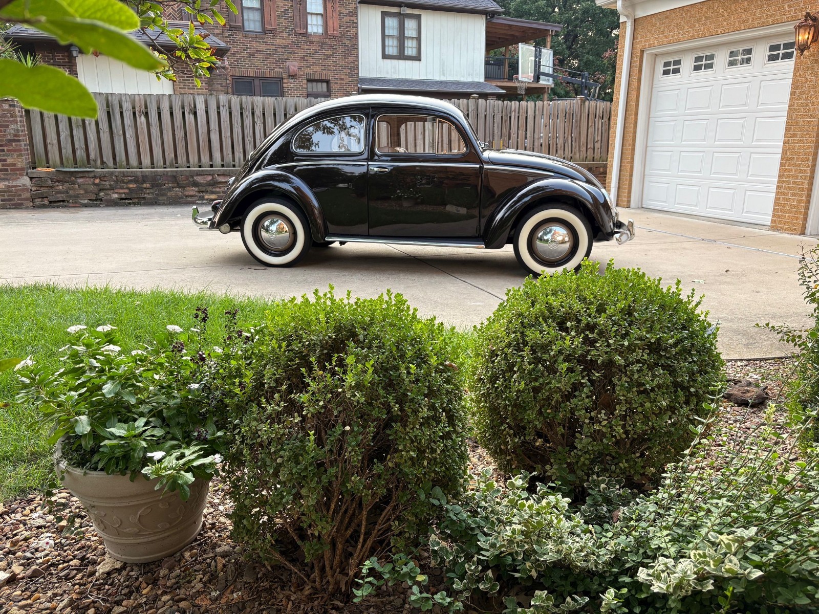 Volkswagen-Beetle-Classic-1952-4