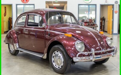 Volkswagen Beetle - Classic 1966 Other