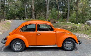 Volkswagen-Beetle-Classic-1974-Coupe