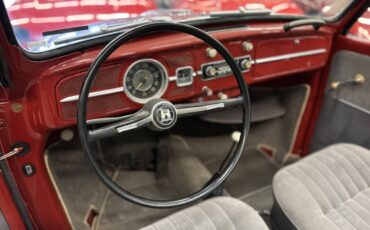 Volkswagen-Beetle-New-1966-Convertible-12
