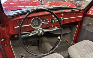Volkswagen-Beetle-New-1966-Convertible-15