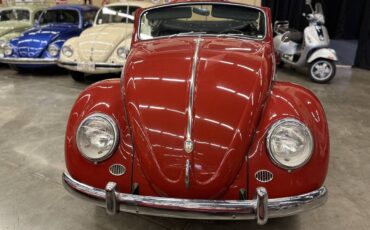 Volkswagen-Beetle-New-1966-Convertible-9