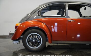 Volkswagen-Beetle-New-1973-Coupe-30