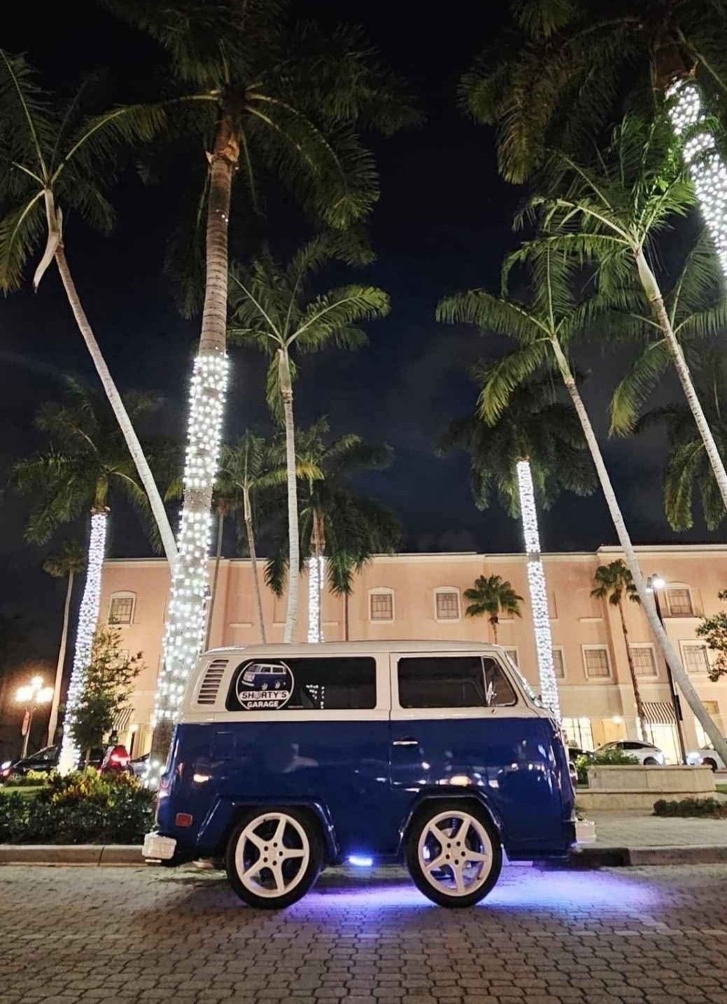 Volkswagen-BusVanagon-1973-Minivan