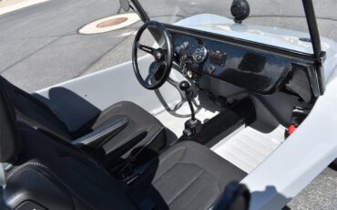Volkswagen-Dune-buggy-1964-Dove-Gray-Dove-Gray-and-Black-21