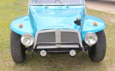 Volkswagen-Other-1969-Dune-Buggy-6