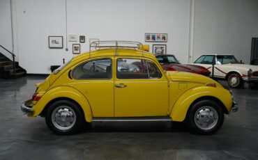Volkswagen-Super-beetle-1972-Texas-Yellow-Black-42
