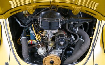Volkswagen-Super-beetle-1972-Texas-Yellow-Black-5