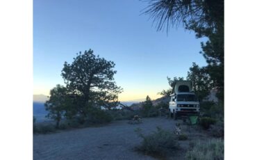 Volkswagen-Syncro-1986-White-Brown-14