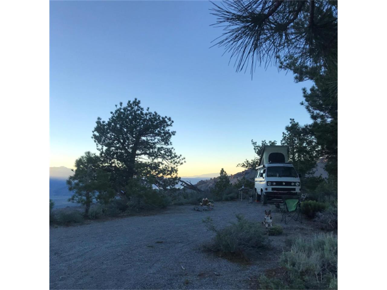 Volkswagen-Syncro-1986-White-Brown-14